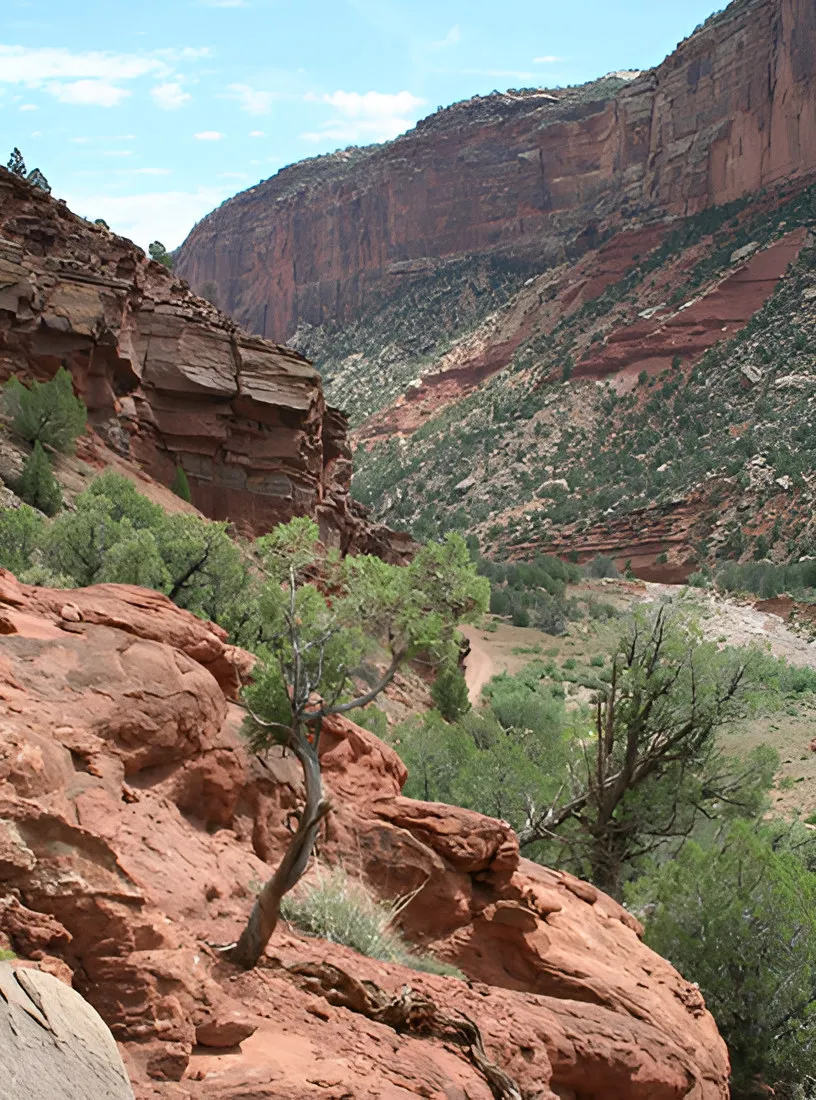 Red sandstone canyon with sparse vegetation