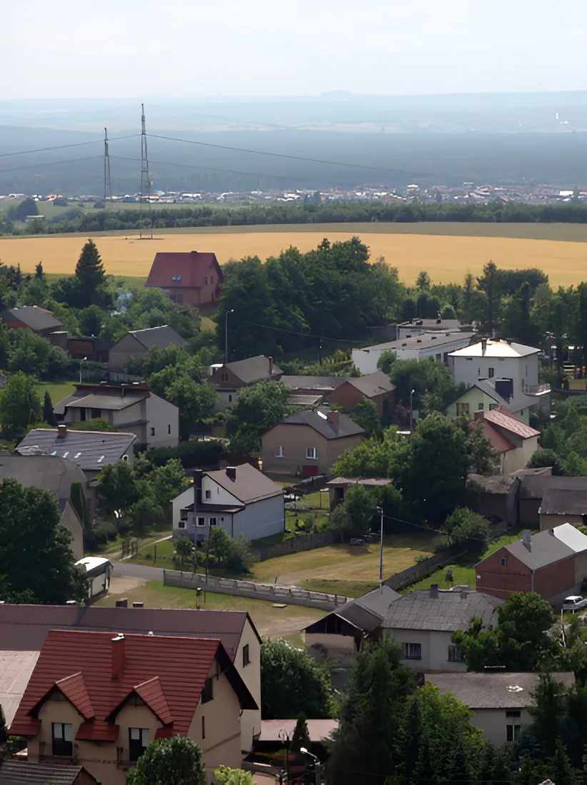 Village houses and farmland seen from above