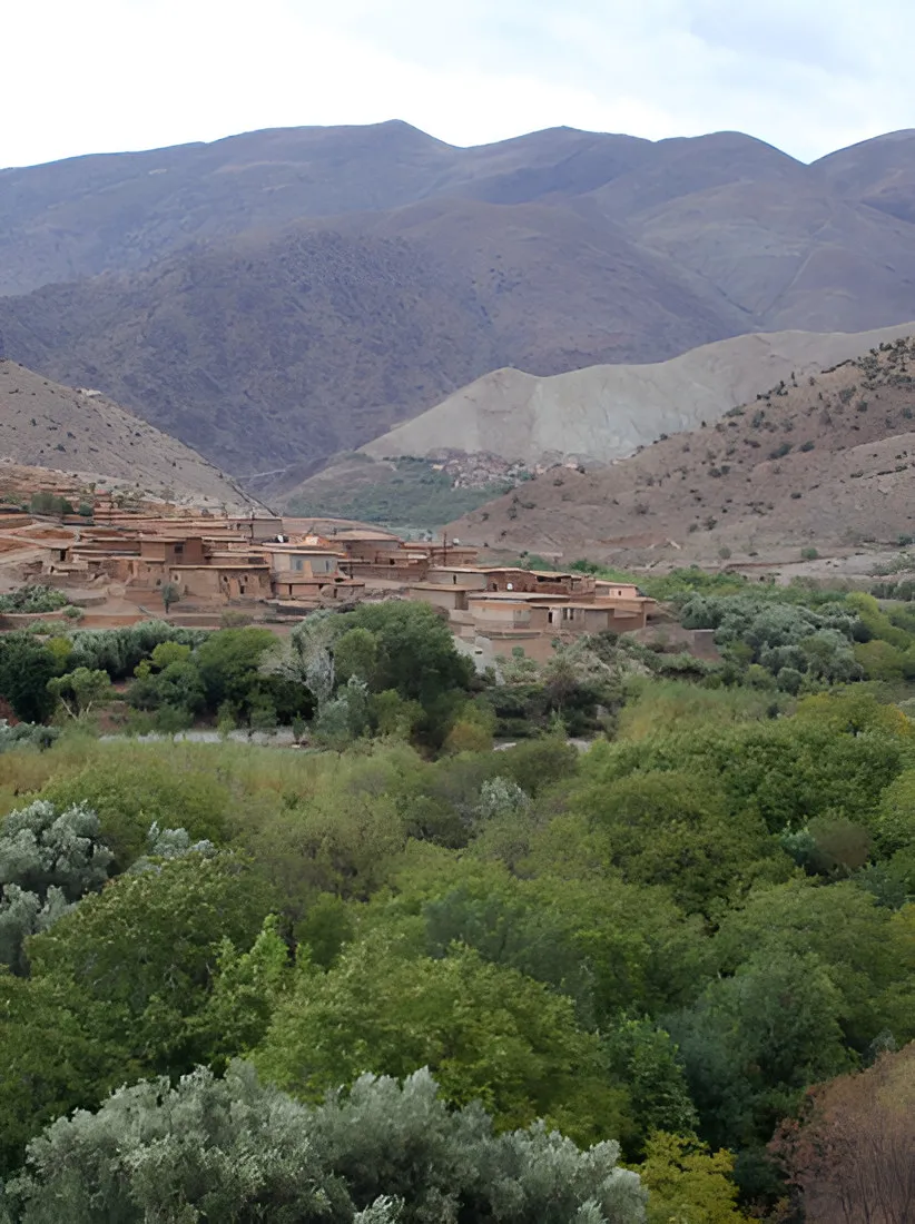 Green valley with a mountain village among trees