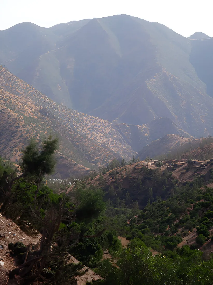 Forested mountain valley in haze