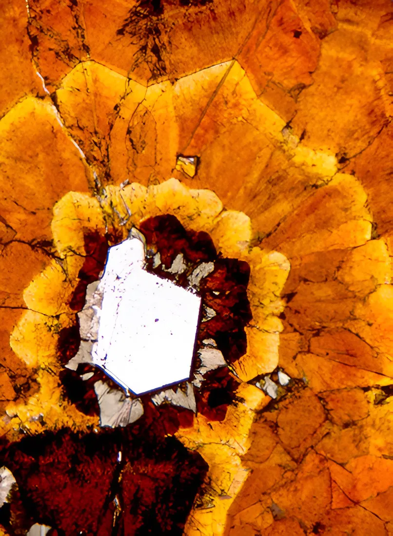 Microscope view of a zoned orange crystal in a thin section of cassiterite